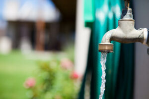 outdoor spigot with spring flowers in background